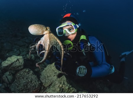 Montenegro, Adriatic Sea, U.W. photo, small octopus and diver - FILM SCAN
