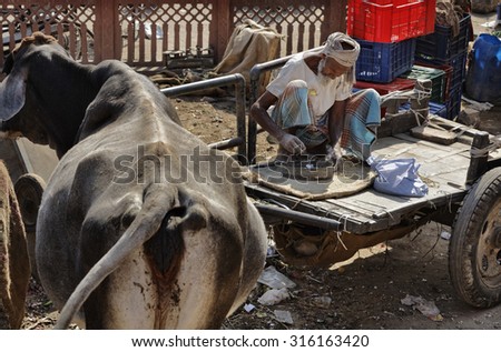 India, Rajasthan, Jaipur; 26 January 2007, old indian man working in a local market close to a cow - EDITORIAL