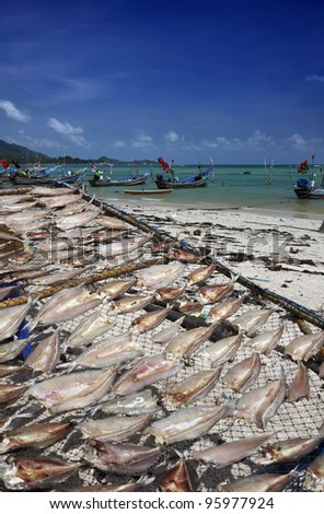 Thailand, Koh Samui (Samui Island), local fishing boats and fish drying with the sun