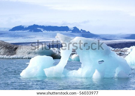 the ice in the glacier lagoon looks like a polar bear