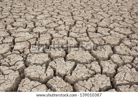 Dry soil texture of a barren land