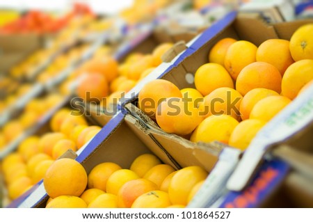 Variety of oranges in boxes in supermarket