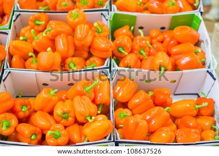 Bunch of orange paprika in boxes in supermarket