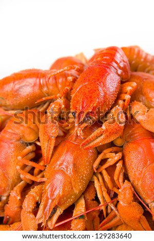 Red boiled crayfish on white large dish on white background