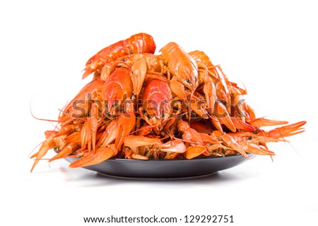 Red boiled crayfish on white large dish on white background
