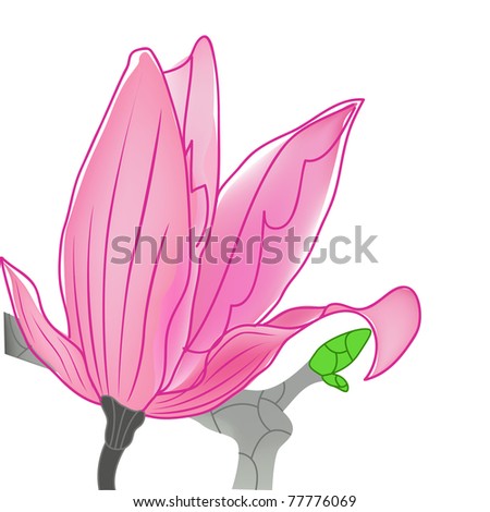 Rose Colored Background