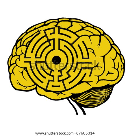 brain labyrinth