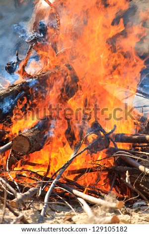 Large bonfire burning at the beach