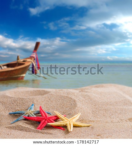 Starfish on the beach in Phi Phi islands Thailand