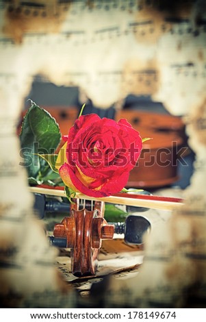 Violin sheet music and rose black composition still life music