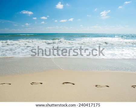 Footprints in the sand on the beach