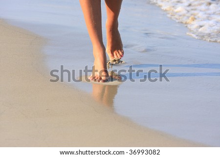 nice legs of a pretty girl walking in water