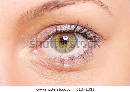 Beautiful woman eyes over white background