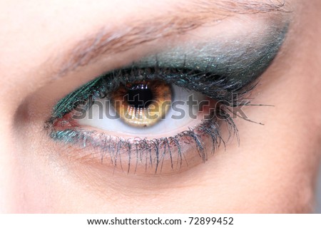 Modern style of blue make-up. Beautiful woman eyes