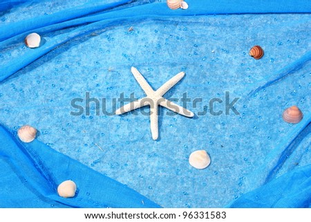 Starfish and shells on blue cloth at Greek wedding