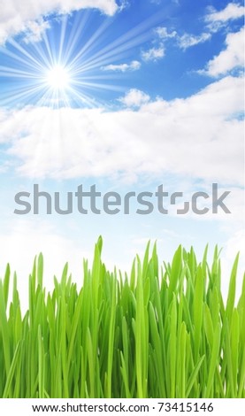 green grass on meadow under summer sky whit clouds