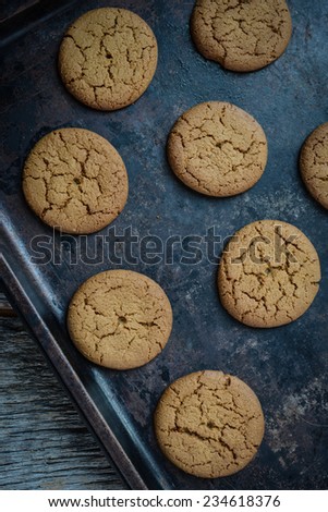 Gingersnap cookies for Christmas on a Baking Pan