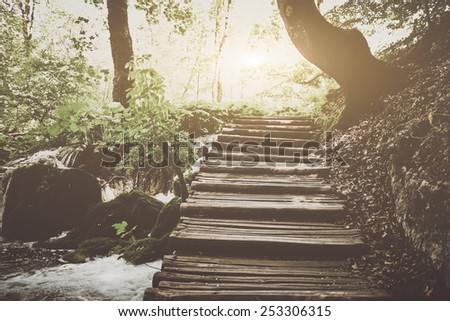 Retro Hiking Path with Sunlight with Instagram Style Vintage Filter