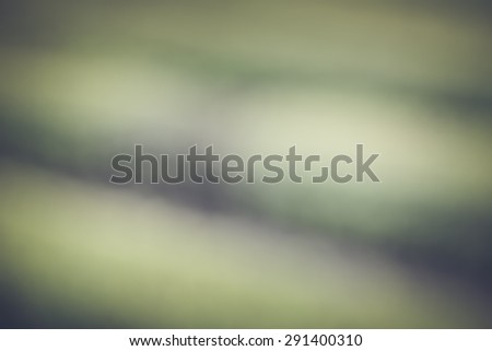 Blurred Abstract Green and Black Background