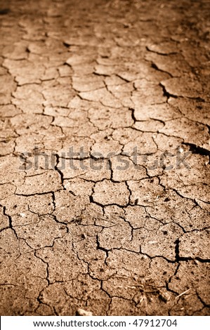 Dried Cracked Dirt  or Mud Background