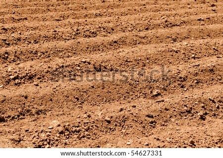 Plowed Dirt for Agriculture Background