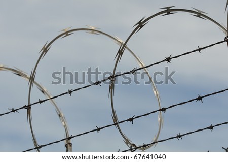 Security Barb Wire Fence Close Up