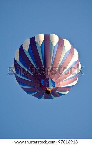 Purple and White Hot Air Balloon