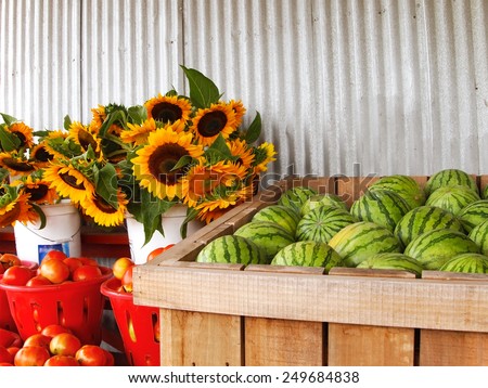 Watermelons, sunflowers, and tomatoes are merchandised for sale in various bins, buckets, and baskets at a rural farm market.