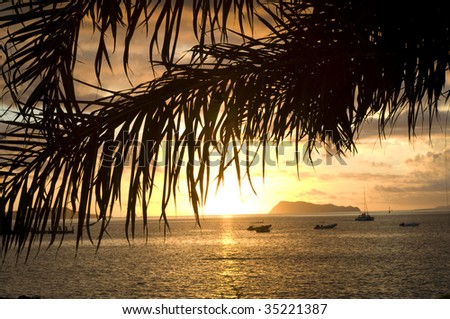 Sunset over ocean, with palm leaf, taken in Samoa
