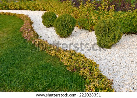 landscaping in the garden, shrub and stone