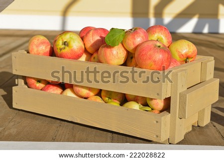 Wooden crate box full of fresh apples