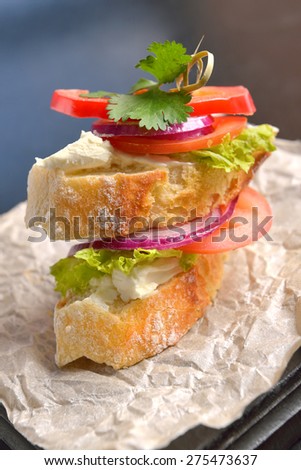 Open sandwich with cheese, tomatoes and onion rings. Selective focus.