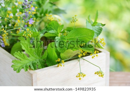 herbal leaves and flowers in wooden box