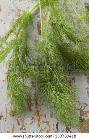 Fresh fennel leaves on a rustic wooden background.