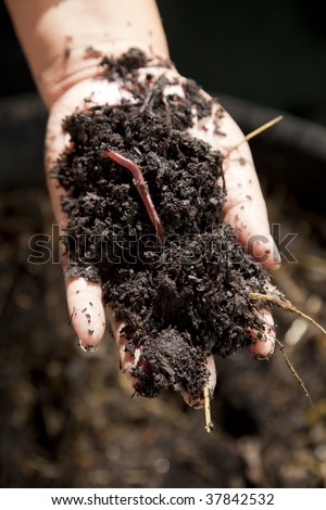 Hand holding out organic compost showing earthworm