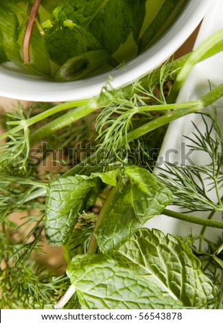 Close up of herbs used in cooking: fennel, mint