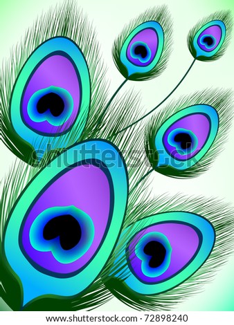 Peacock Feather Stock Vector Illustration 72898240 : Shutterstock