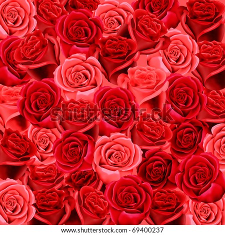 wallpaper roses red. wallpaper roses red. Red And Pink Roses Wallpaper