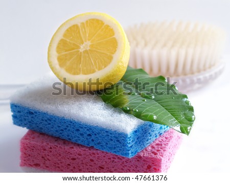 sponge for cleaning, brush