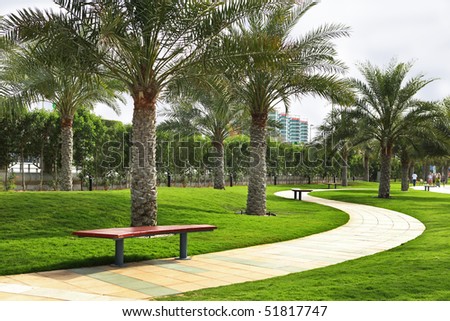 lawn, a path for walking, palm trees and sky