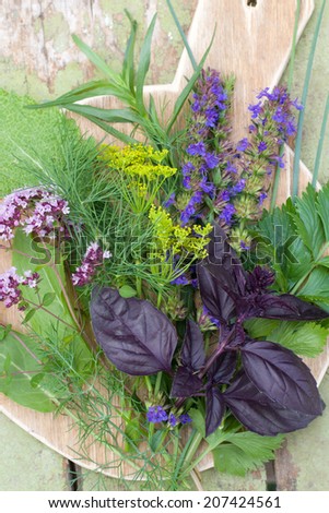 Herbs on a cutting board (basil, hyssop, tarragon, oregano, sage, dill, sorrel)