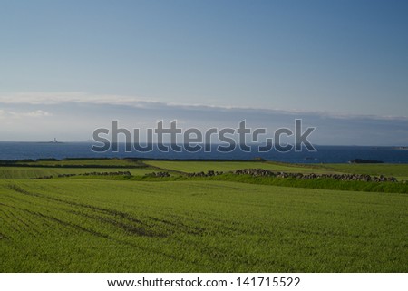 Farm land along the coast line