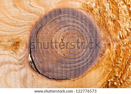 wood panel background showing wood grain texture