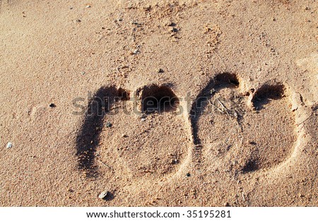 Camel foot prints