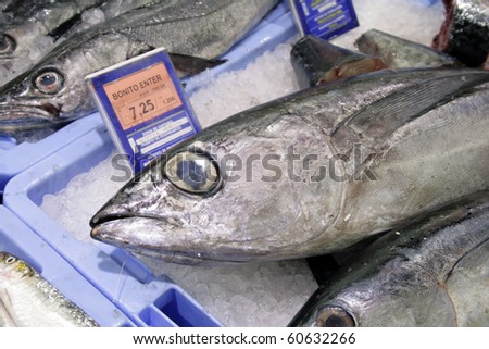 Big fish /bonito/ for sale in the market