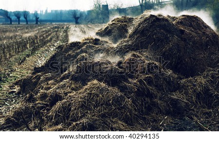 Heap of cow-dung in the Piedmont countryside