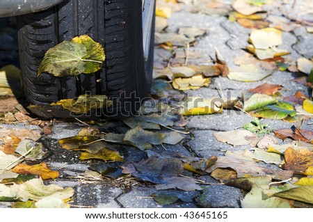 Car tire over a bed of wet leaves