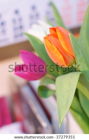 red, white and orange tulips on office calendar background