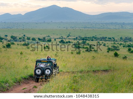 Africa safari jeep driving on Masai Mara and Serengeti national park on green savannah with blue sky. Tourists driving jeep for safari in Kenya and Tanzania in East Africa to watch animals.
