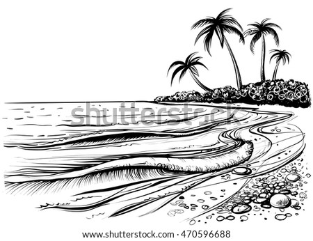 Ocean or sea beach with waves, sketch. Black and white vector illustration of sea shore with palms. Hand drawn seaside view.